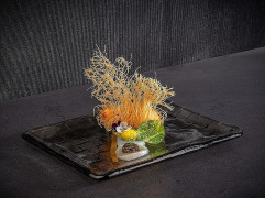 Tanier sushi TAKASHI 23x18cm, výška:1,5cm, sklo farba francúzska šedá