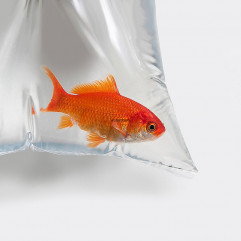 Vrecko ploché (LDPE) transparentné 20 x 30 cm [100 ks]