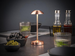 Lampa stolová ALVA, Ø 8 cm, výška: 20 cm, nabíjacia stanica, USB nabíjací kábal, dialkové ovládanie s batériou, kov, farba mede